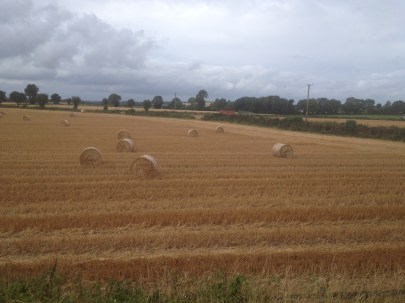 Richardsons_hay bales